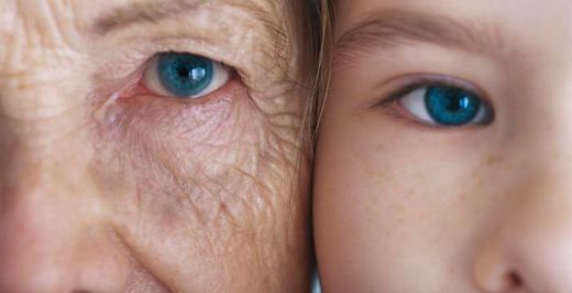 La nutrició i la longevitat