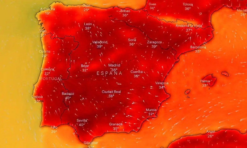 onda de calor: como combatê-la