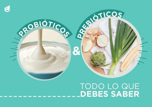 Probióticos y prebióticos: Beneficios y salud intestinal