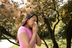 Alergias de primavera: Cómo prevenir y tratar los síntomas