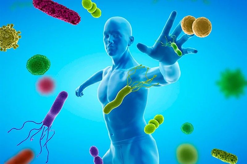 Terapia herbal y homeopática para el sistema inmune