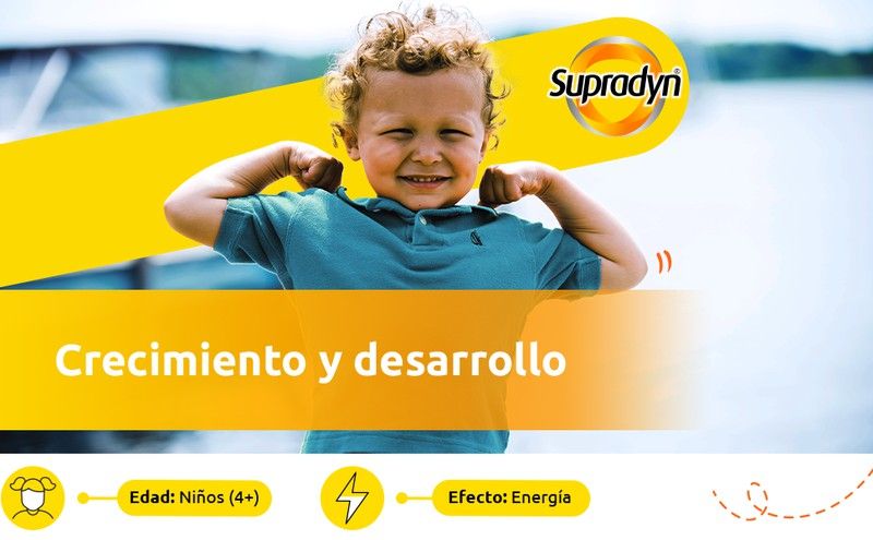 Que no debe faltar tampoco en el inicio de curso