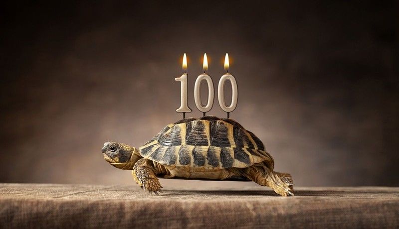 La longevidad realmente es una cuestión de estilo de vida o está predeterminada por tus genes?