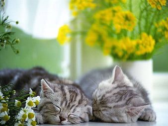 Evitar otras patologias con altas temperaturas