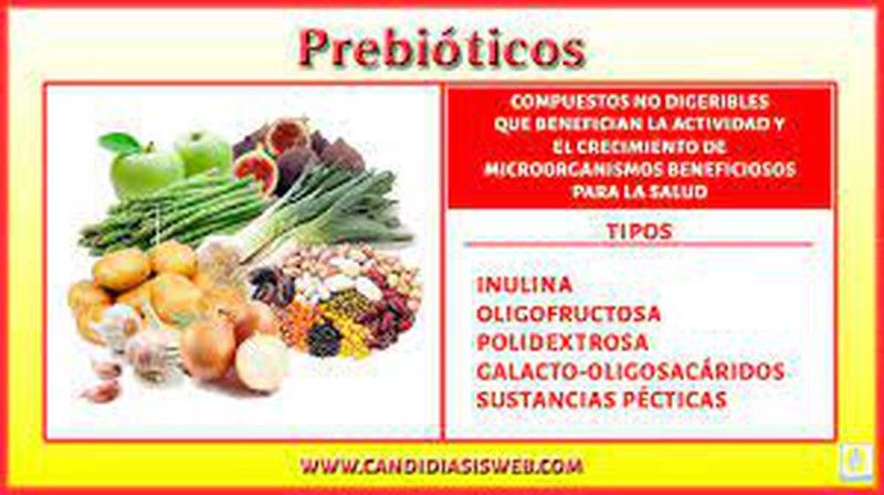 ¿Qué son los prebióticos?