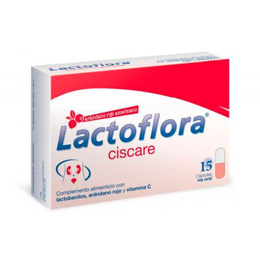 Lactoflora ciscare protector com mirtilos e probióticos