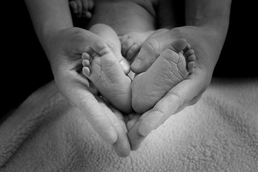 Embarazo, bebes y niños
