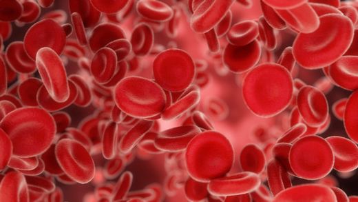 Sistema circulatorio y hemorroides