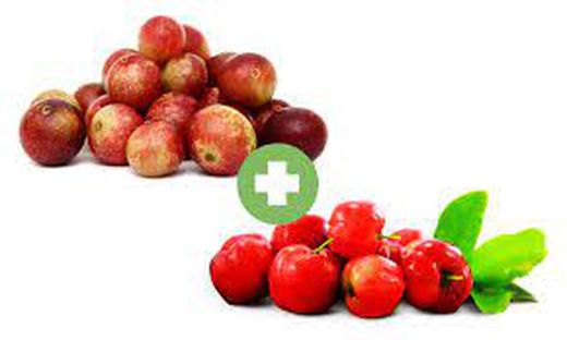 Activa Benestar Starter Camu Camu & Acerola