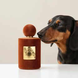 Bruma Perfumada Betres Mascotes