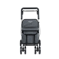 Carrinho de compras com assento aprovado pela ICE