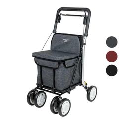 Carro de la compra con asiento homologado color ICE