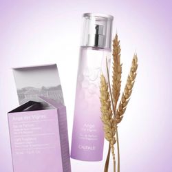 Caudalie Eau de Parfum Ange des Vignes 50ml