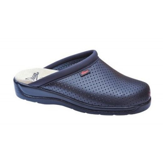 Dian Calzado laboral seguridad  antibacteriano Pisa Azul