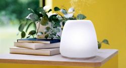 Pack Pranarom Difusor + aceites esenciales