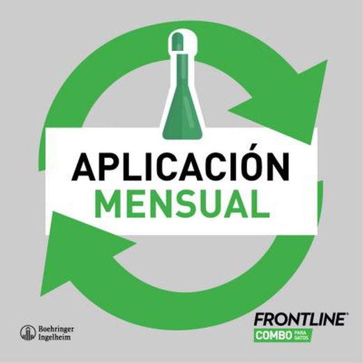 Frontline Combo pipetas para gato ( 3pipetas de 0.5ml)