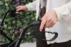 Kmina Pepe Caminador de 4 rodes