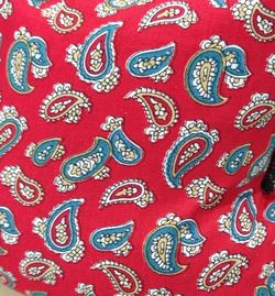 Phiu Phiu cojín térmico de semillas alivia los dolores musculares