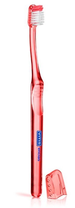 Vitis genives raspall dental