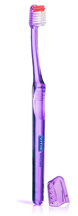 Vitis genives raspall dental